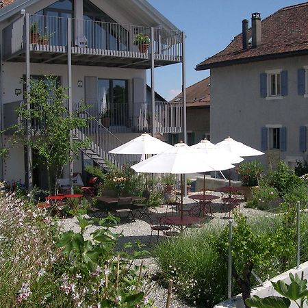 Le Coq Chantant Studios D'Hotes & Boutique Hotel St-Livres Saint-Livres Εξωτερικό φωτογραφία
