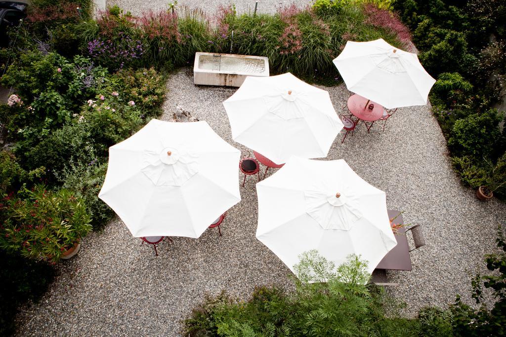 Le Coq Chantant Studios D'Hotes & Boutique Hotel St-Livres Saint-Livres Εξωτερικό φωτογραφία