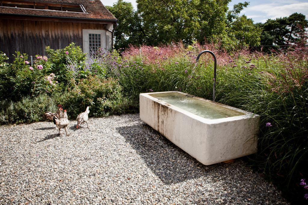 Le Coq Chantant Studios D'Hotes & Boutique Hotel St-Livres Saint-Livres Εξωτερικό φωτογραφία