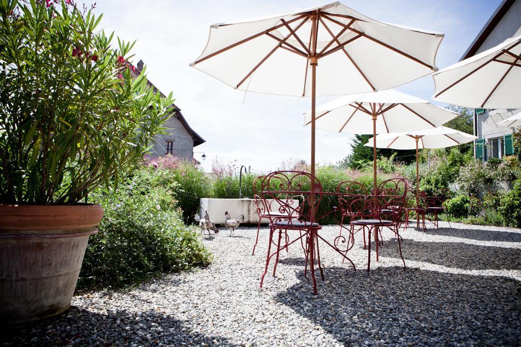 Le Coq Chantant Studios D'Hotes & Boutique Hotel St-Livres Saint-Livres Εξωτερικό φωτογραφία