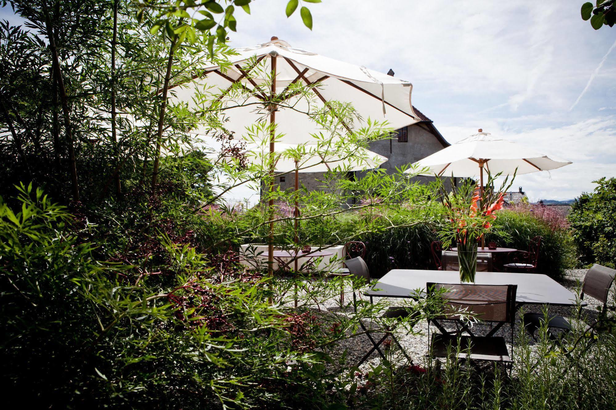 Le Coq Chantant Studios D'Hotes & Boutique Hotel St-Livres Saint-Livres Εξωτερικό φωτογραφία